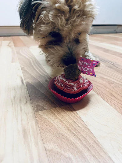 The Comrade Cupcake