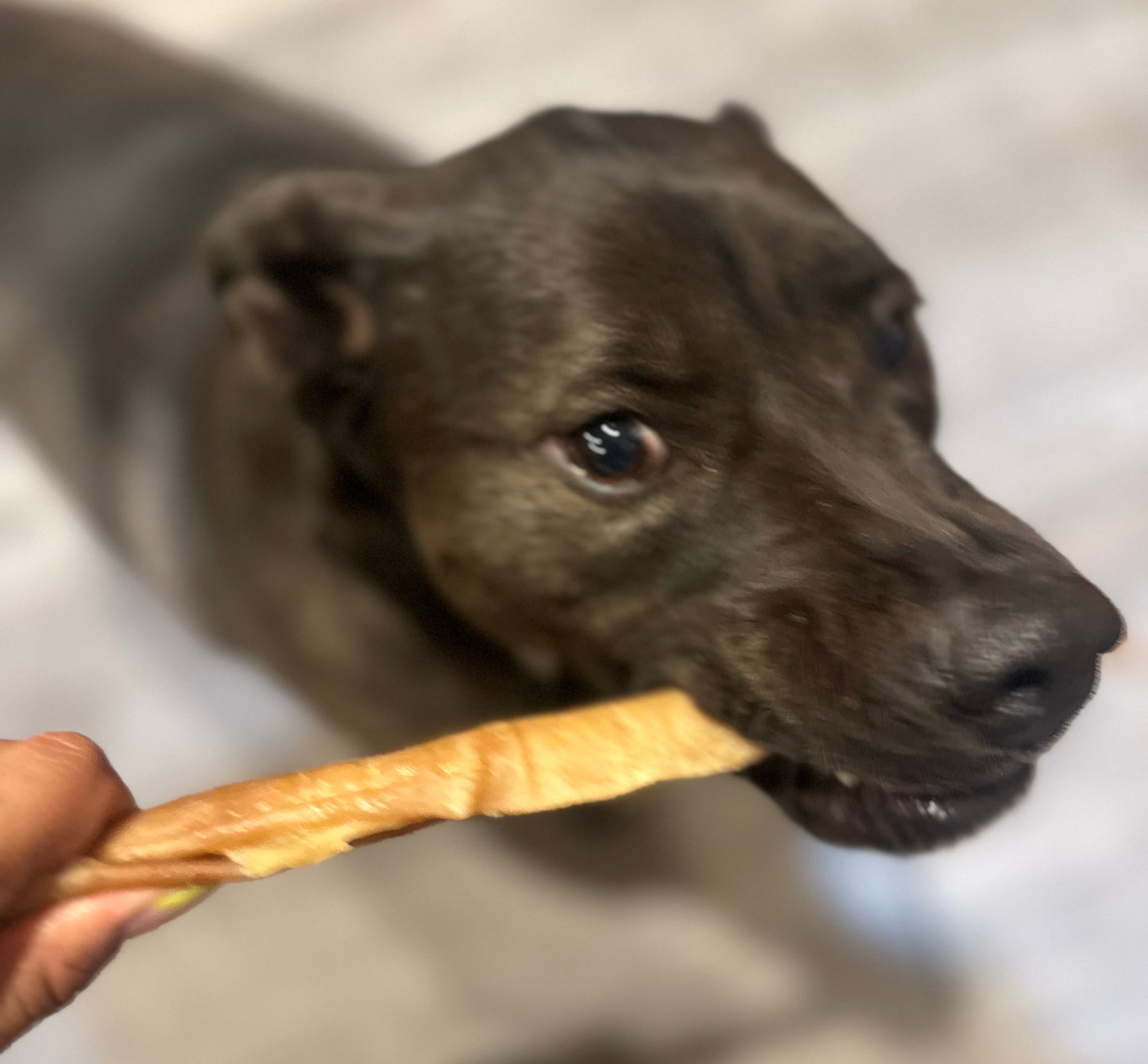 Pork Roll Chews