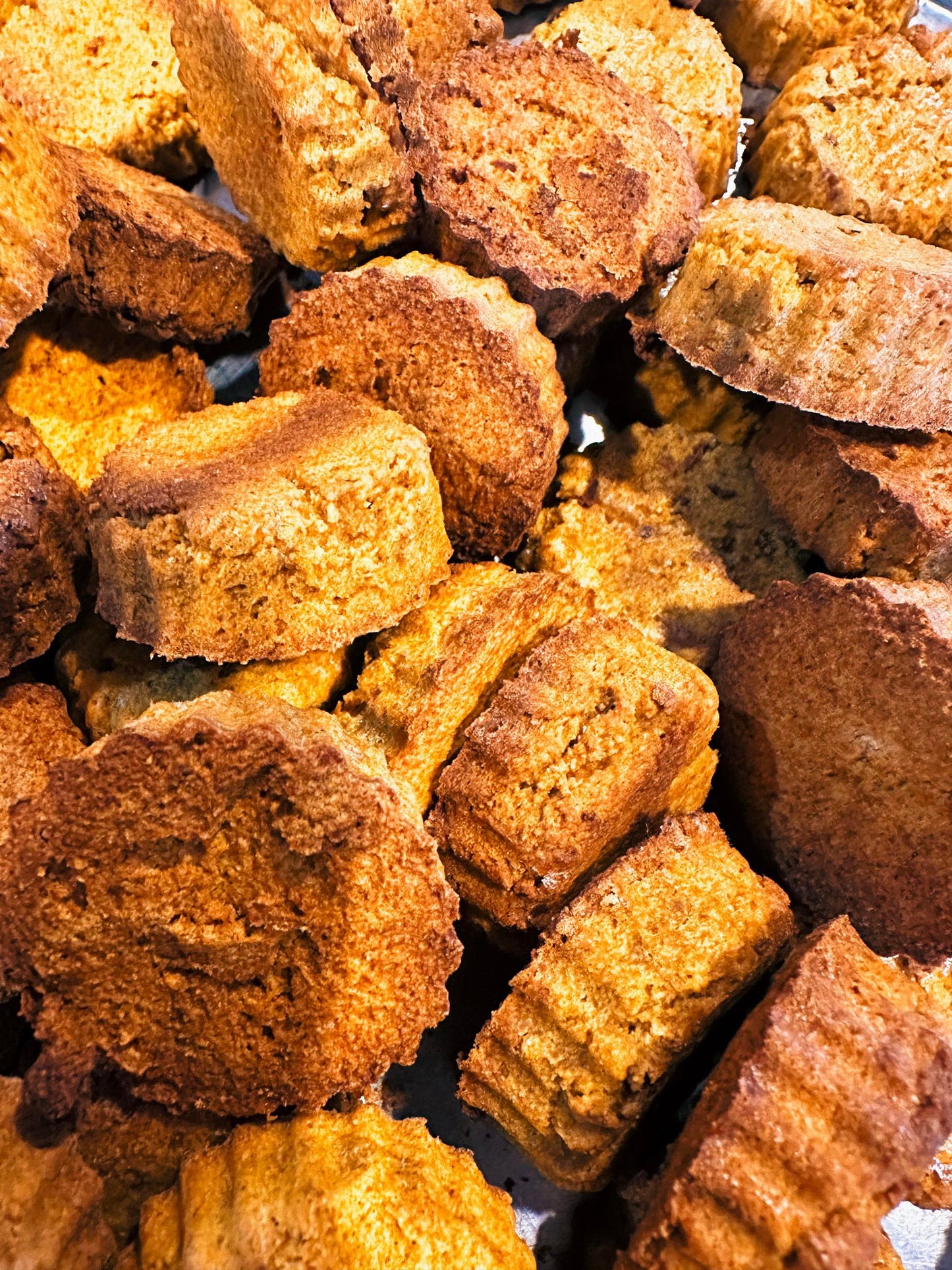 Coconut Pumpkin Treats