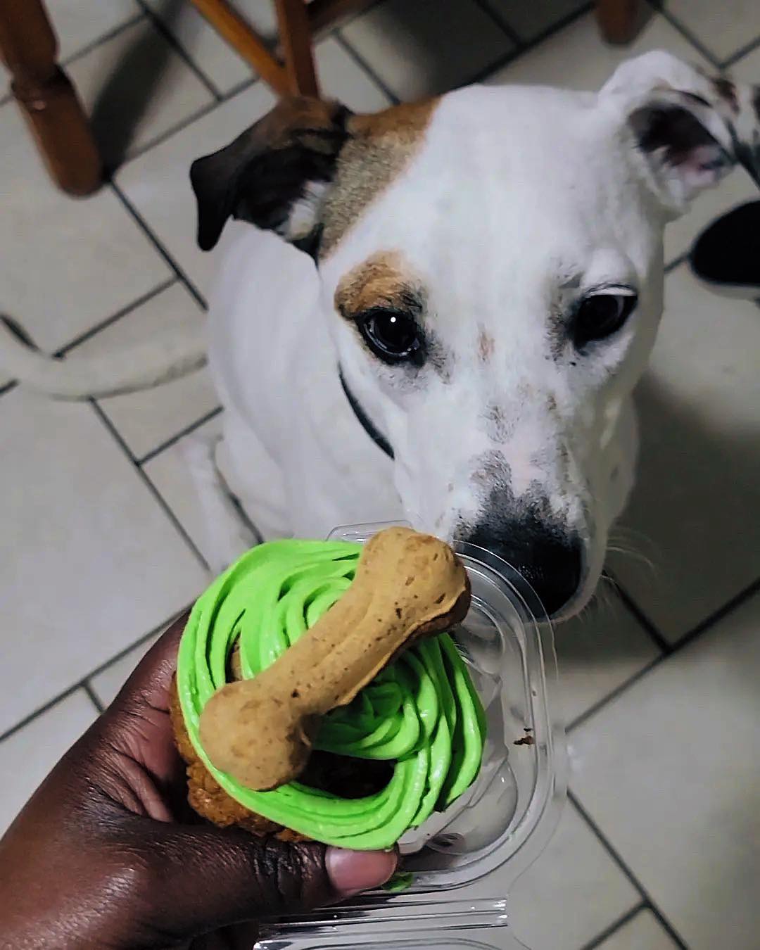 The Comrade Cupcake
