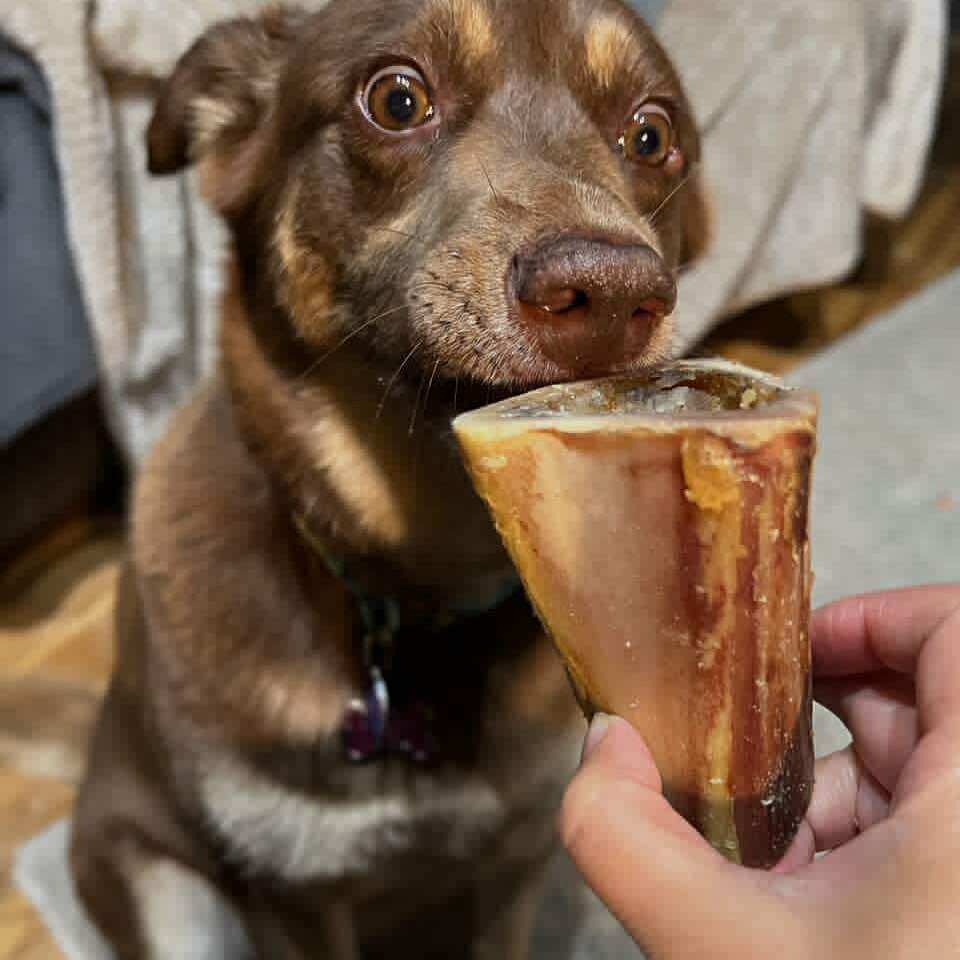 Dehydrated Beef Marrow Bone
