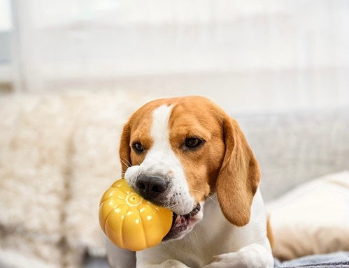 Pumpkin Durable Chew Toy