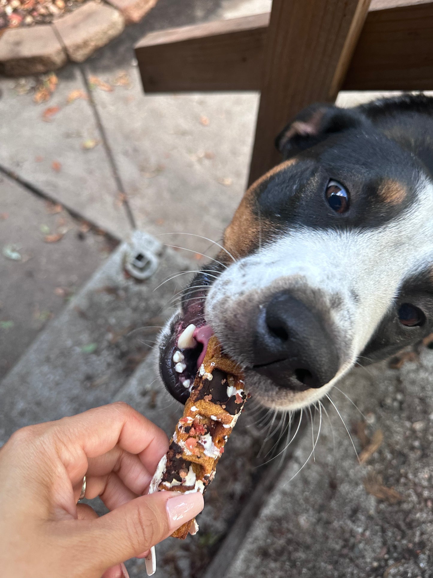 Waffle Sticks