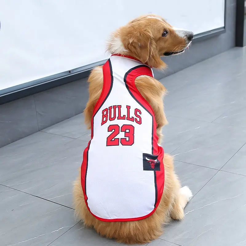 Dog Basketball Bulls Jersey