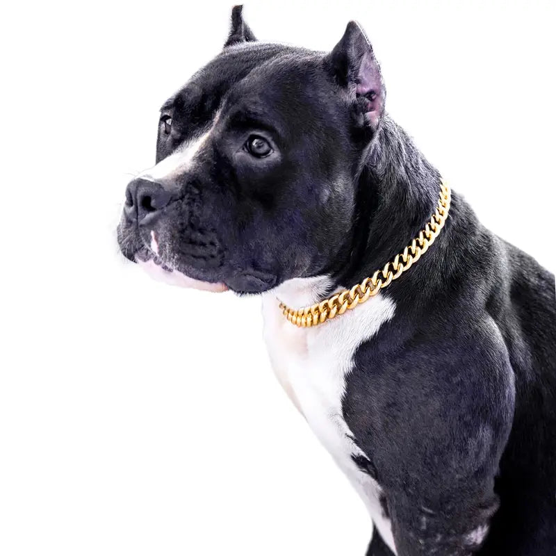 Dog chain 2025 cuban link