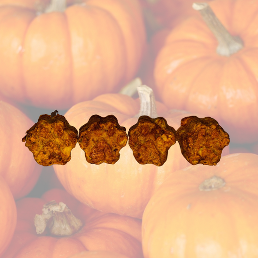 Peanut Butter and Pumpkin Oat Crunchies