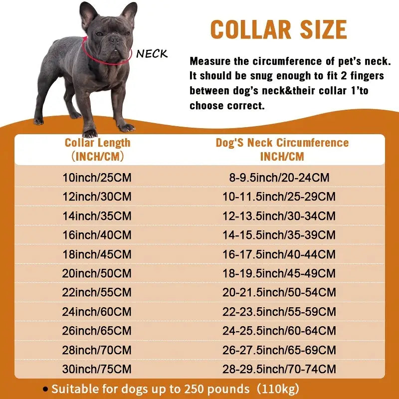 Buckle Dog Chain Diamond Collar