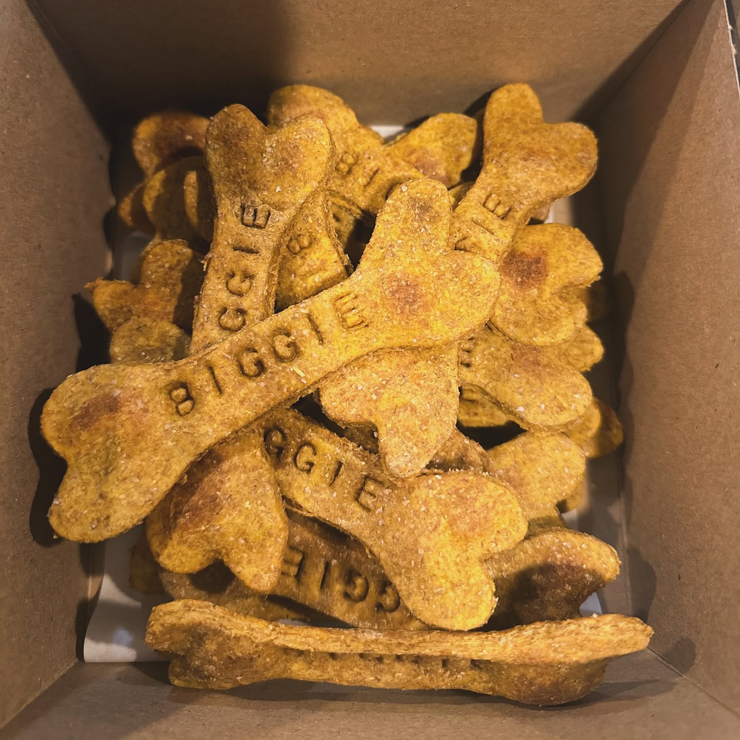 Bark Birthday Packages