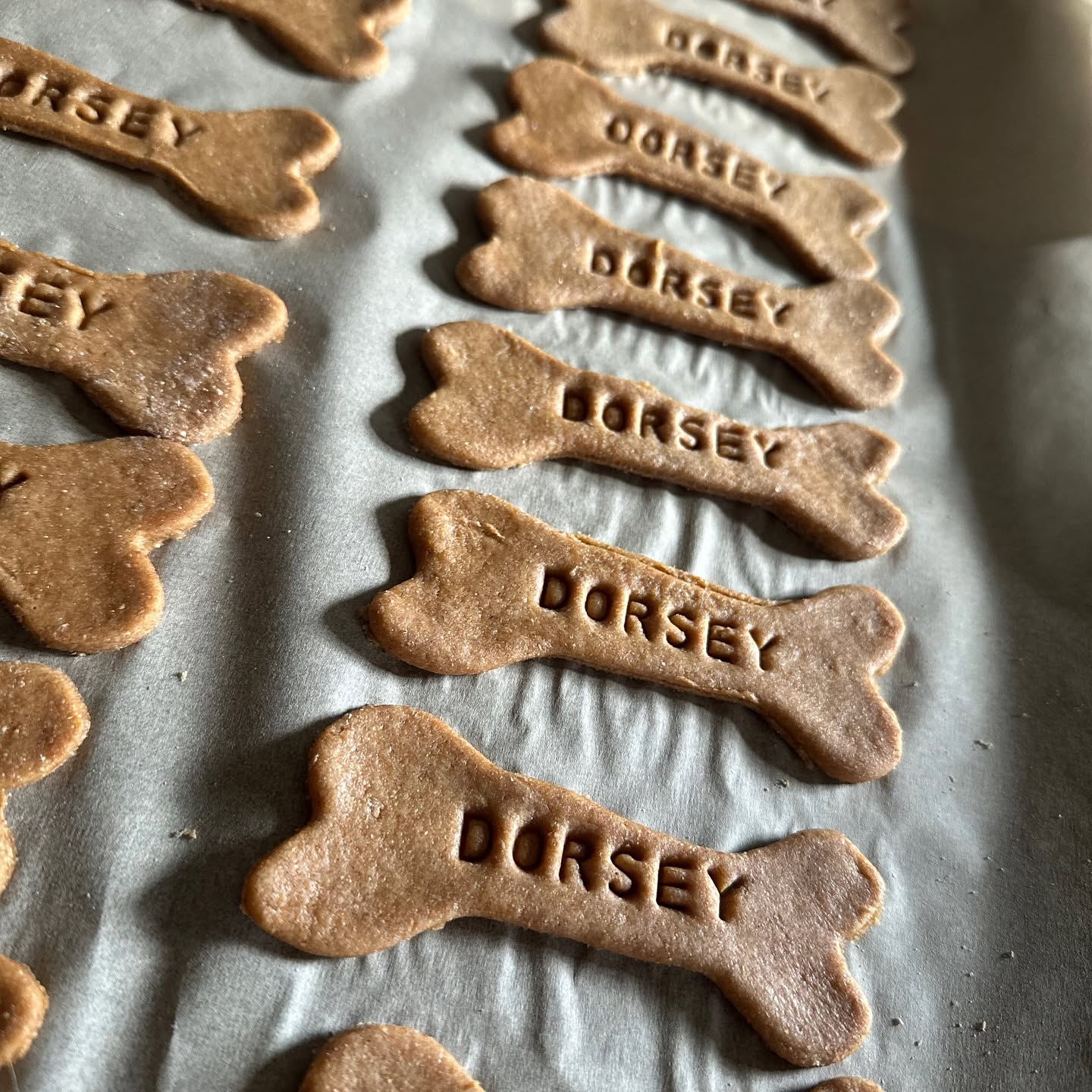 Bark Birthday Packages