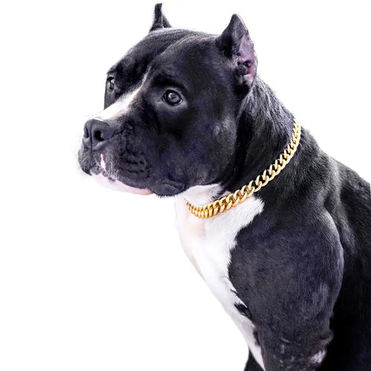 Cuban Link Slip On Dog Chain Necklace
